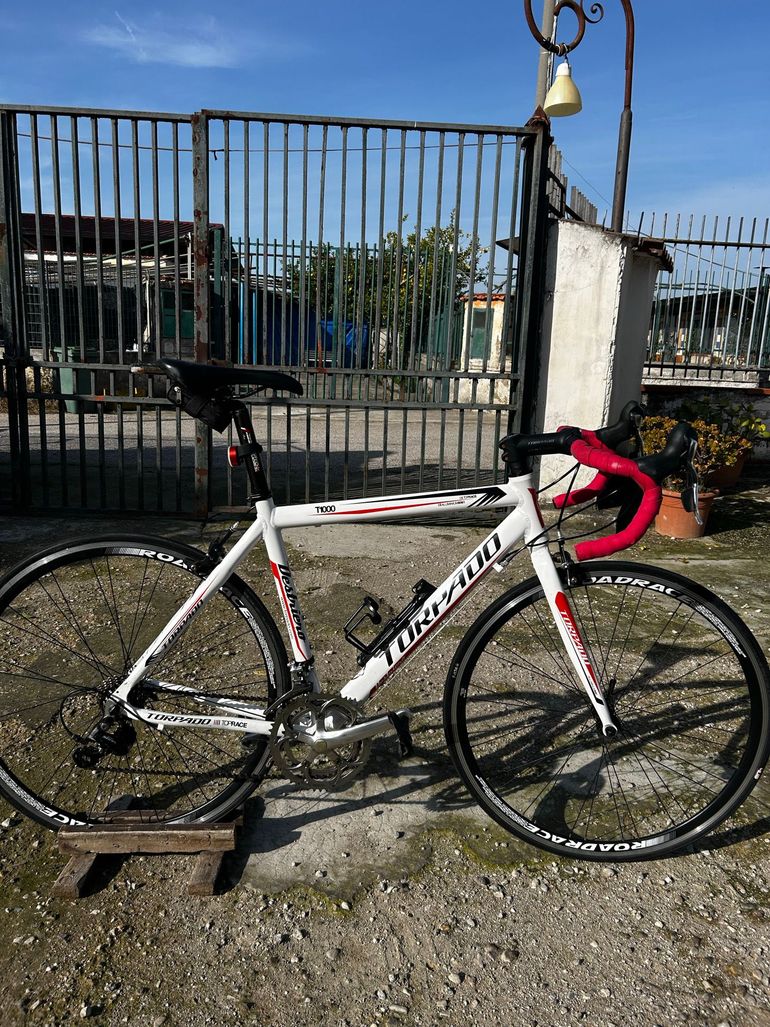 Used Torpado Torpado Custom Shimano Sora 2020 Road & Gravel, White — image 1 of 15