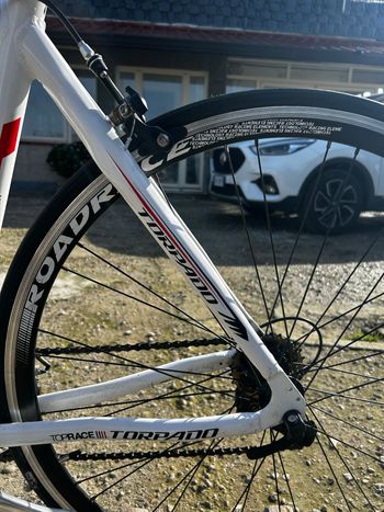 Used Torpado Torpado Custom Shimano Sora 2020 Road & Gravel, White — image 13 of 15