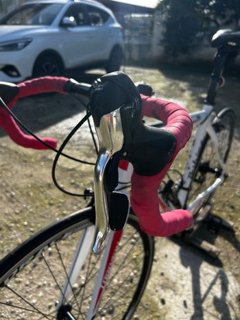 Used Torpado Torpado Custom Shimano Sora 2020 Road & Gravel, White — image 8 of 15
