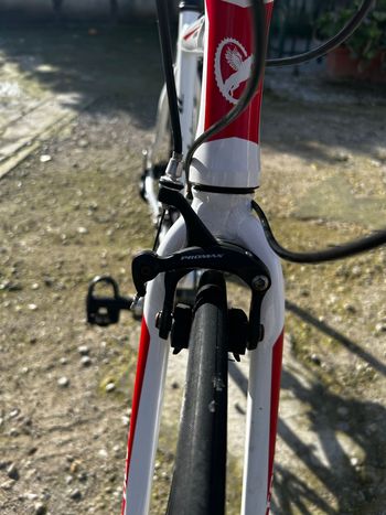 Used Torpado Torpado Custom Shimano Sora 2020 Road & Gravel, White — image 10 of 15
