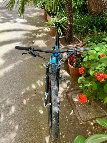 Used Santa Cruz Highball Carbon C 2020/21 Tg.M 2020 Mountainbike — image 7 of 8