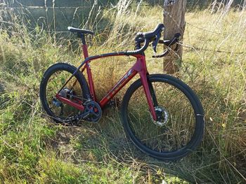 Used Trek Domane SL 6 2022 2022 Route & Gravel