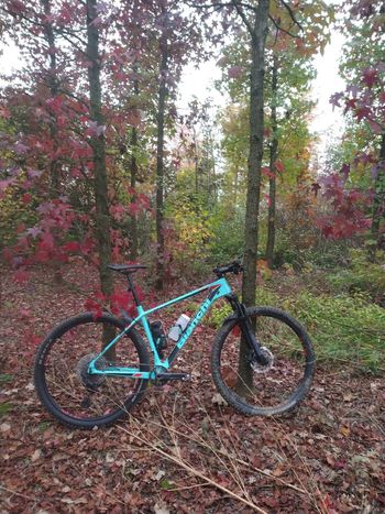 Used Bianchi Nitron 9.4 – XT/Deore 2021 2021 Mountainbike, Green, 29 — image 2 of 3