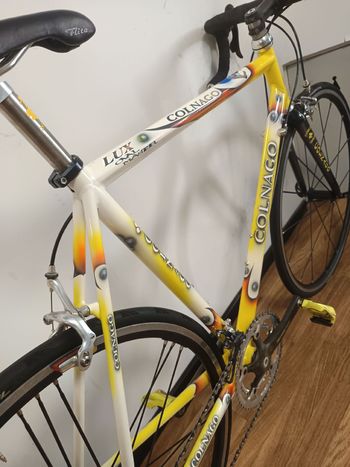 Used Colnago Oval Campagnolo Record 2000 Road & Gravel, White — image 28 of 28