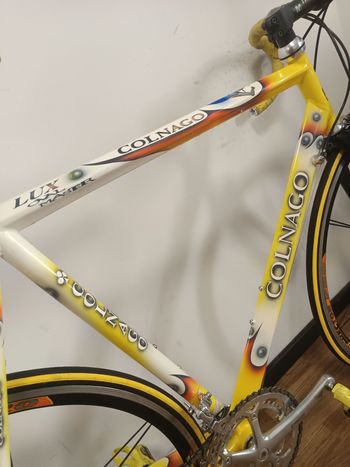 Used Colnago Oval Campagnolo Record 2000 Road & Gravel, White — image 11 of 12