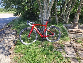 Used Pinarello dogma f Pinarello dogma f Custom Shimano Dura Ace Di2 2026 Road & Gravel