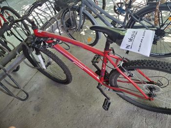 Used S'COOL Hard 2024 2024 MTB