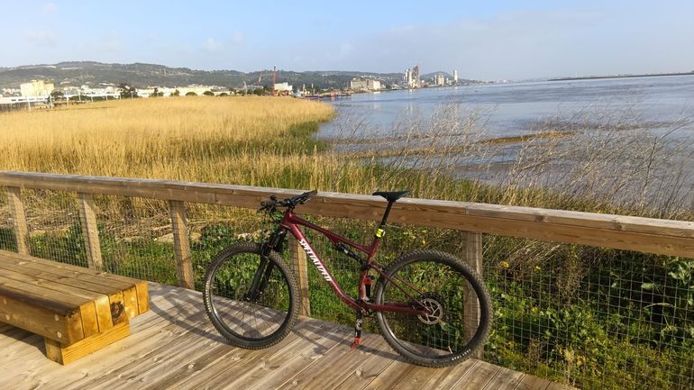 Used Specialized Chisel 2025 2025 Mountainbike, Red, 29 — image 8 of 9