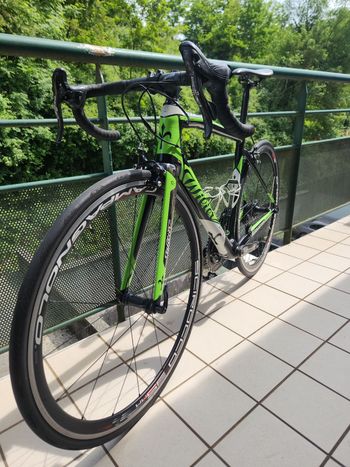 Used Willier Willier Custom Campagnolo Chorus 2016 Road & Gravel, Green — image 8 of 9
