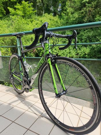 Used Willier Willier Custom Campagnolo Chorus 2016 Road & Gravel, Green — image 7 of 9