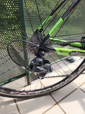Used Willier Willier Custom Campagnolo Chorus 2016 Road & Gravel, Green — image 6 of 9