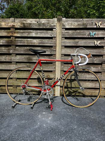 Used ludo Ludo Custom Other 1981 Road & Gravel