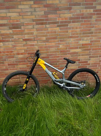 Used YT Industries YT Tues Uncaged 11 2023 XL 2023 Mountainbike, Light Gray — image 2 of 7