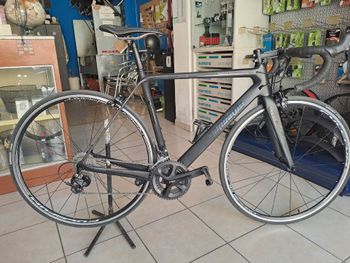 Used LOMBARDO LOMBARDO Custom Shimano 105 2023 Road & Gravel
