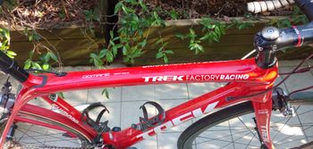 Used Trek Domane Race Shop Limited Koppenberg Edition Frameset 2016 2016 Road & Gravel, Red — image 2 of 7