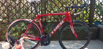 Used Trek Domane Race Shop Limited Koppenberg Edition Frameset 2016 2016 Road & Gravel