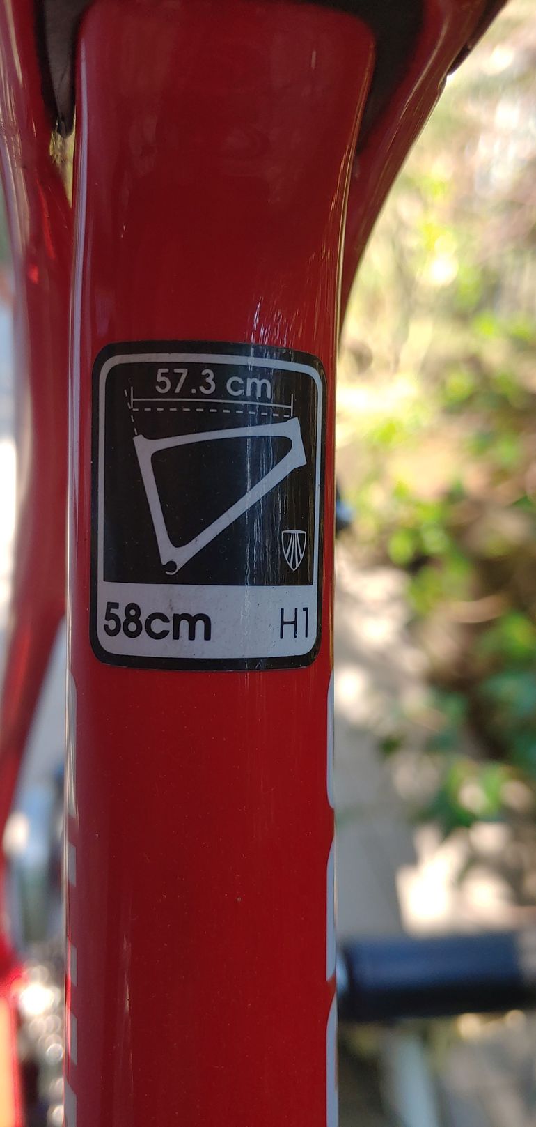 Used Trek Domane Race Shop Limited Koppenberg Edition Frameset 2016 2016 Road & Gravel, Red — image 3 of 7