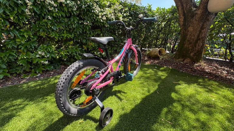 Used Trek Procaliber 2025 Youth, Purple — image 3 of 5