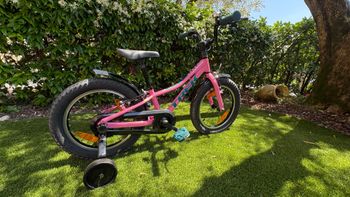 Used Trek Procaliber 2025 Youth, Purple — image 2 of 5