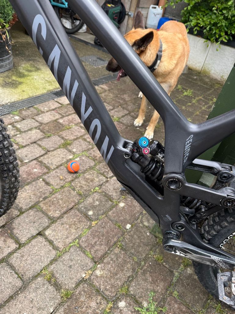 Used Canyon Sender CFR 29 Underdog 2024 2024 Mountainbike, Black, 29 — image 5 of 8