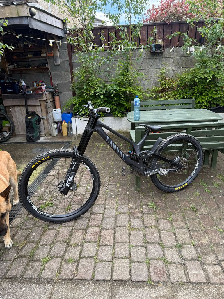 Used Canyon Sender CFR 29 Underdog 2024 2024 Mountainbike, Black, 29 — image 8 of 8