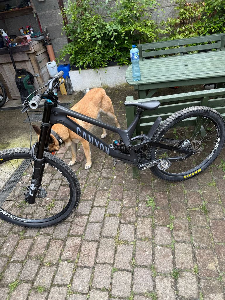 Used Canyon Sender CFR 29 Underdog 2024 2024 Mountainbike, Black, 29 — image 1 of 8