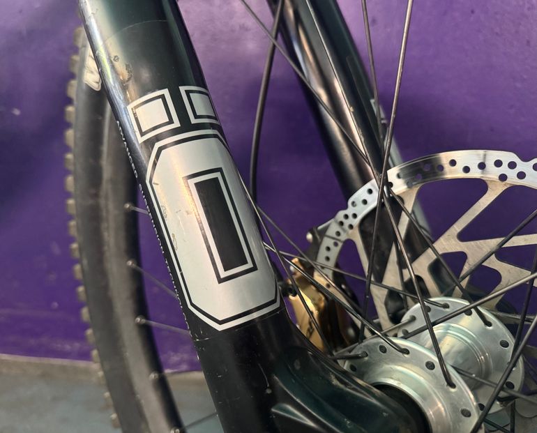 Used Santa Cruz V10 DH X01 / Carbon CC / 29 2021 2021 Mountainbike, Light Gray, 29 — image 4 of 4