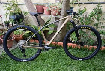 Used Specialized Epic Hardtail Expert 2019 2019 MTB