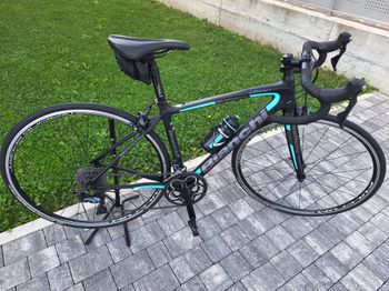 Used Bianchi Intenso Dama Ultegra 2018 2018 Road & Gravel, Black — image 6 of 9