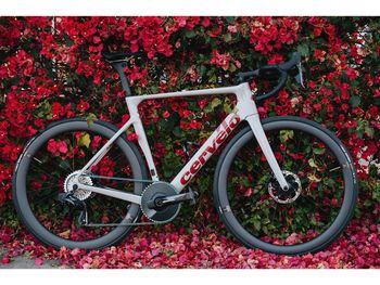 Used Cervélo Soloist Frameset 2024 Frameset 2024 Road & Gravel, Light Gray — image 4 of 10
