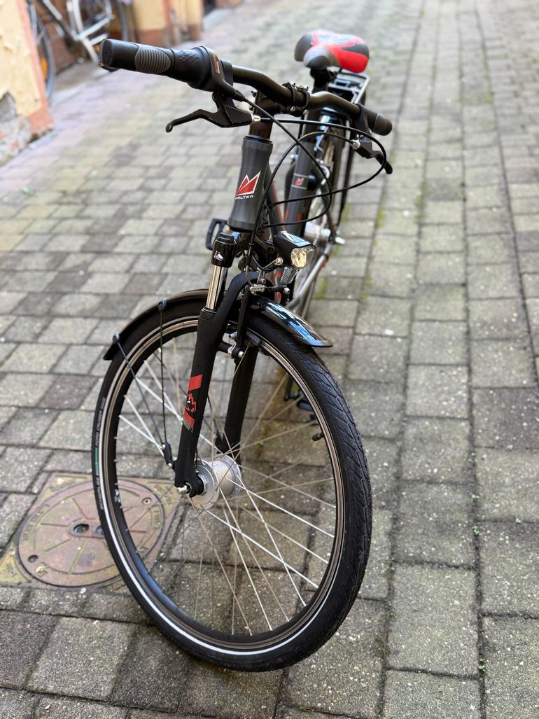 Used Falter Falter Custom Shimano Nexus Hub Gear 2021 Urban, Light Gray — image 2 of 8