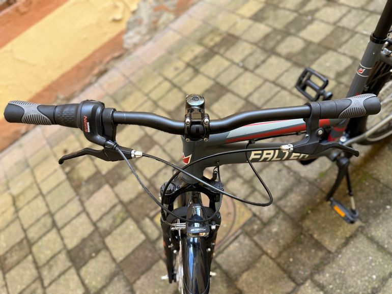 Used Falter Falter Custom Shimano Nexus Hub Gear 2021 Urban, Light Gray — image 8 of 8