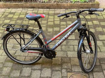 Used Falter Falter Custom Shimano Nexus Hub Gear 2021 Urban & Touring