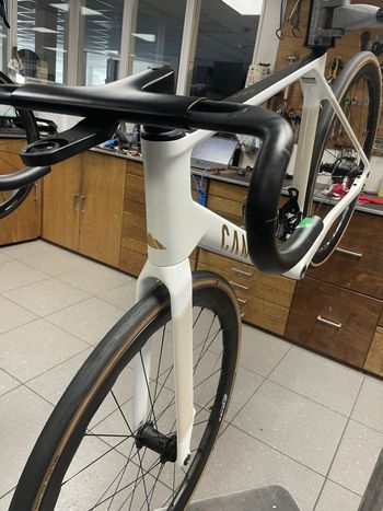 Used Canyon Endurace CFR AXS 2025 Frameset 2025 Road & Gravel, White — image 11 of 17