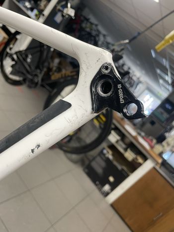 Used Canyon Endurace CFR AXS 2025 Frameset 2025 Road & Gravel, White — image 16 of 17