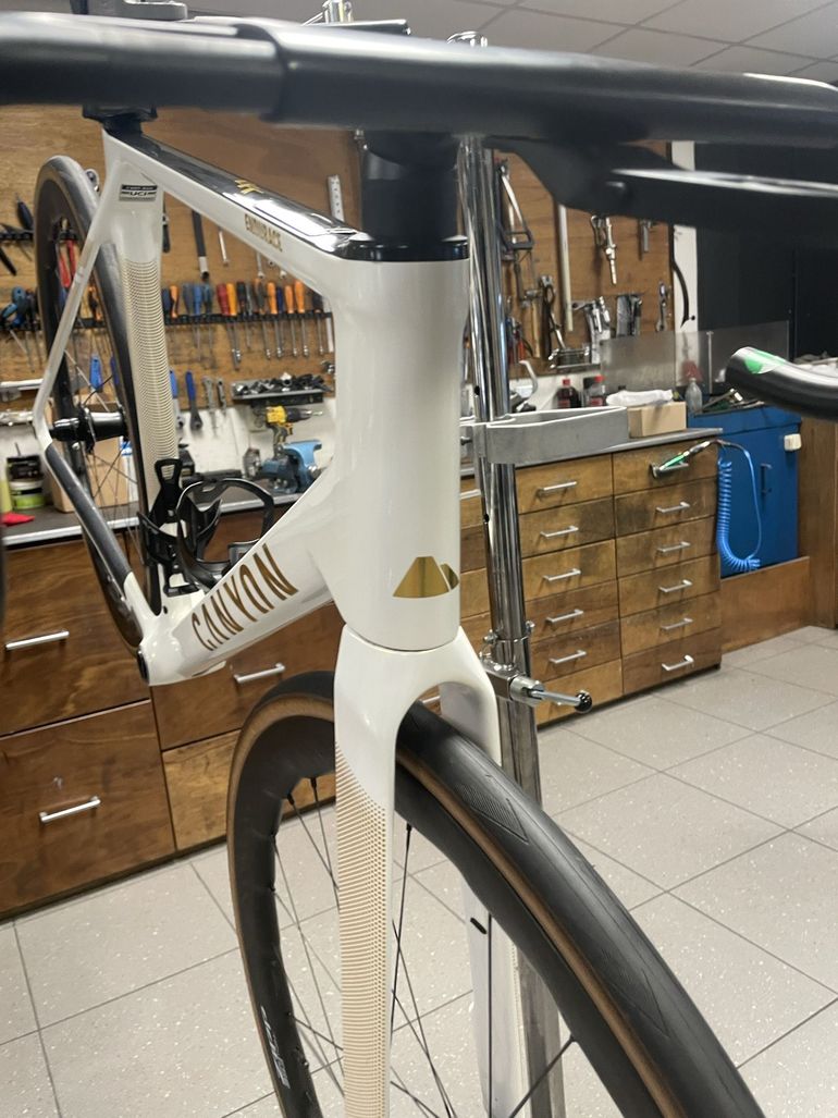 Used Canyon Endurace CFR AXS 2025 Frameset 2025 Road & Gravel, White — image 12 of 17