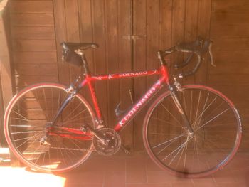 Used Colnago Colnago Custom Shimano Ultegra 1998 Road & Gravel