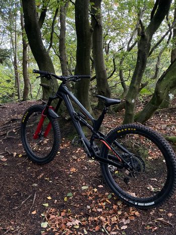 Used Canyon Torque AL 6.0 2019 2019 Mountainbike, Black, 27.5 — image 2 of 9
