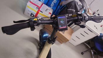 Used Mate Mate Custom SRAM Force 2022 Urban, Orange — image 5 of 20