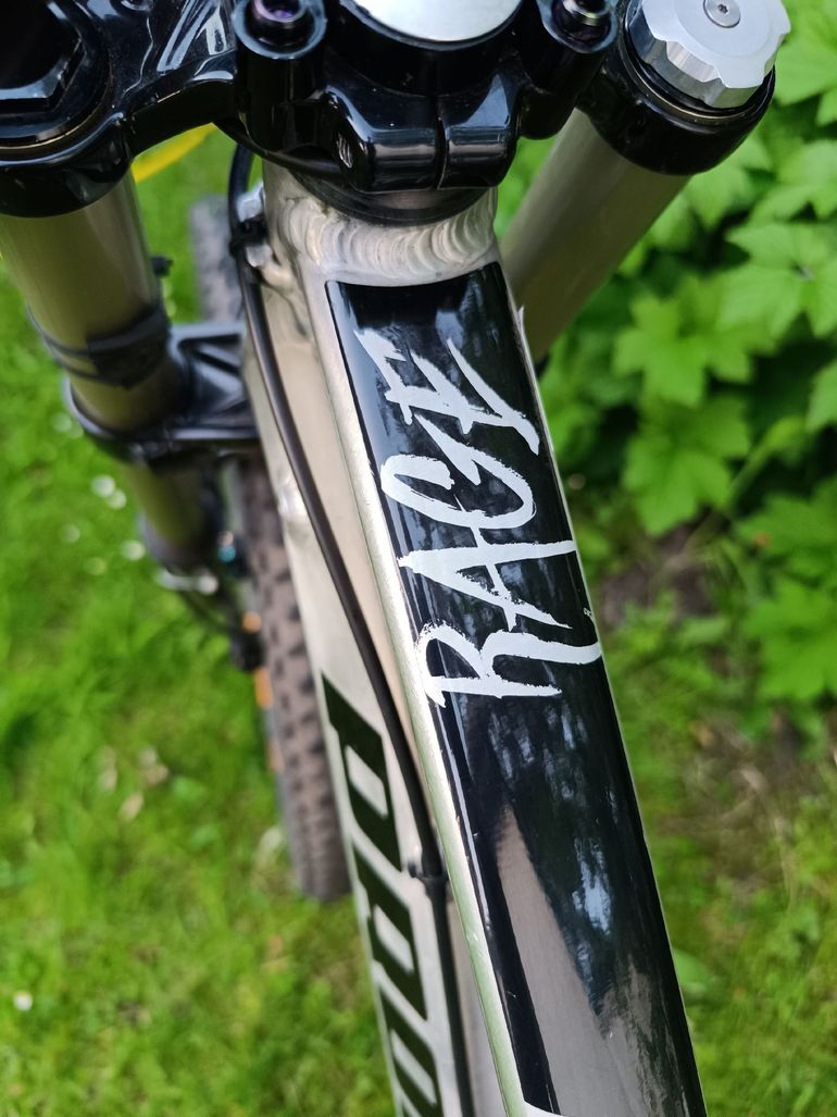 Used Propain Rage Other 2017 Mountainbike, Light Gray — image 3 of 8