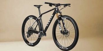 Used Canyon Exceed CF SLX 2023 Frameset 2023 Mountainbike, Black, 29 — image 3 of 3
