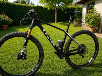 Used Canyon Exceed CF SLX 2023 Frameset 2023 MTB