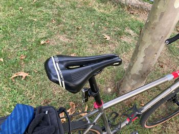 Used Wilier Wilier Jaroon XL 2024 Road & Gravel, Light Gray — image 7 of 7
