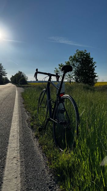 Used Specialized Allez Shimano 105 2022 Road & Gravel, Black — image 3 of 11