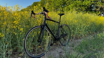 Used Specialized Allez Shimano 105 2022 Road & Gravel, Black — image 2 of 11