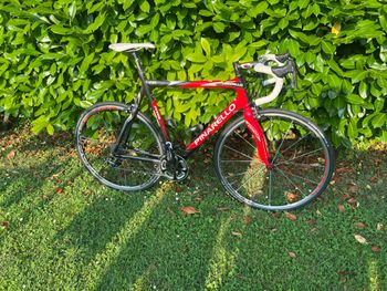 Used Pinarello Paris Campagnolo Super Record EPS 2016 Road & Gravel