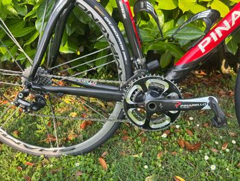 Used Pinarello Paris Campagnolo Super Record EPS 2016 Road & Gravel, Red — image 4 of 6