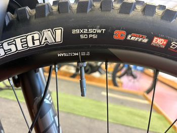 Used Orbea WILD M10 2024 2024 Mountainbike, Black, 29 — image 4 of 12