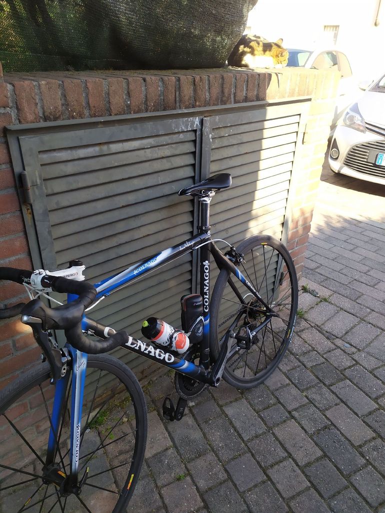 Used Colnago Extreme C Frameset 2008 2008 Road & Gravel, Blue — image 4 of 4