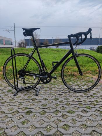 Used Canyon Endurace AL 7.0 2019 2019 Road & Gravel